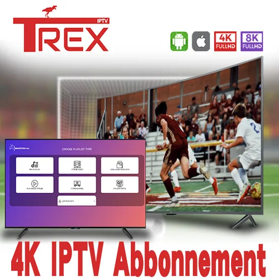 a Year IPTV Spain USA Ca UK Germany IPTV Credit Panel for Wholesale IP TV 4K UHD M3u Spanish Smart TV Subscription for Android Box IPTV Xtream Code 